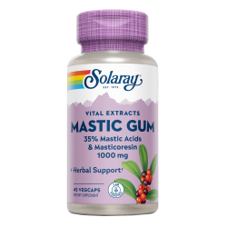 Mastic Gum- 45 VegCaps....