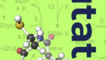 EL GLUTATIÓN Y LAS ENZIMAS DEPENDIENTES DEL GLUTATIÓN