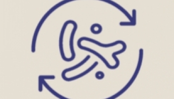 MAGNESIO E IMIDAZOL PROPIONATO